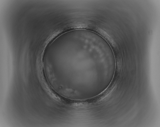 X0000112910721200908311236