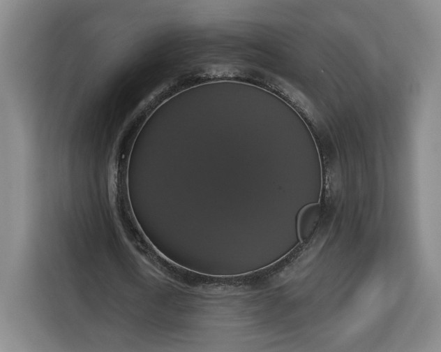 X0000112910722200908311236