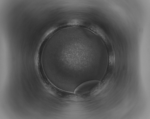 X0000112910724200908311236