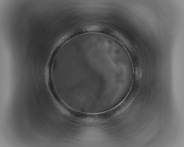 X0000112910725200908311236