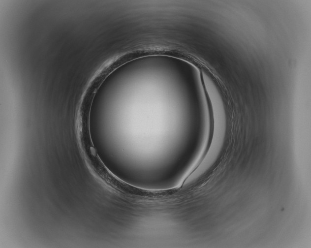 X0000112910726200908311236