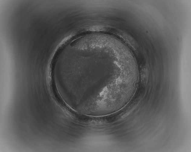 X0000112910727200908311236