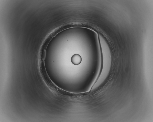 X0000112910728200908311236