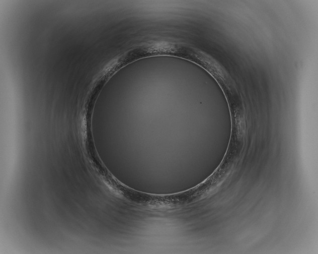 X0000112910729200908311236