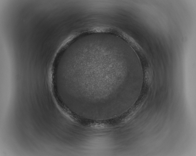 X0000112910730200908311236