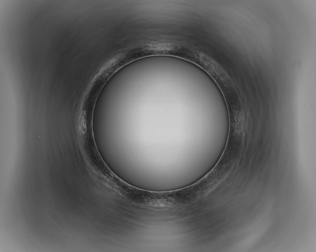 X0000112910731200908311236