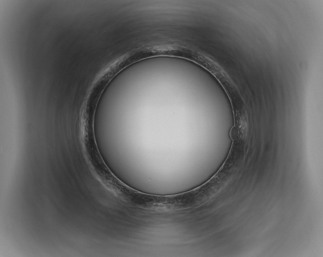 X0000112910732200908311236