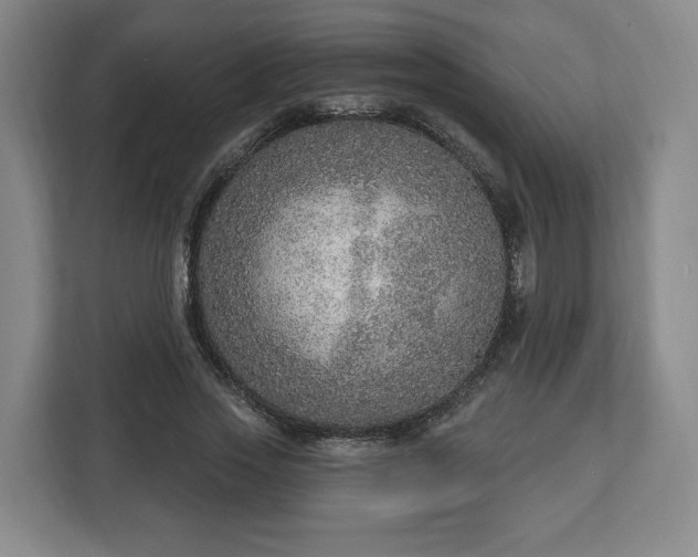 X0000112910733200908311236