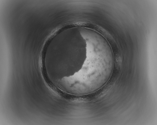 X0000112910734200908311236