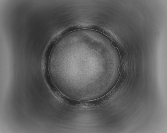 X0000112910736200908311237