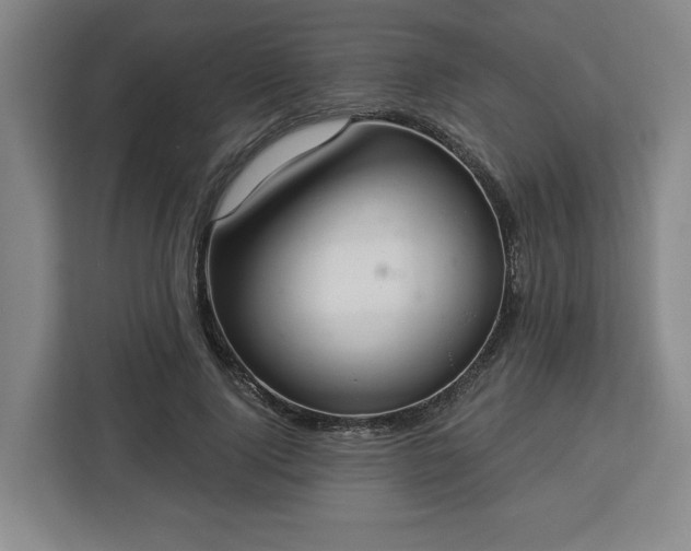 X0000112910740200908311237