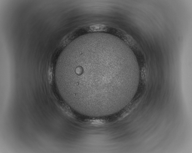 X0000112910741200908311237