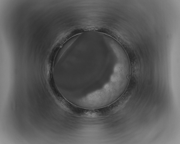 X0000112910742200908311237