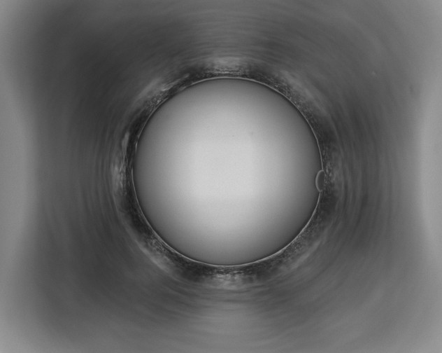 X0000112910744200908311237