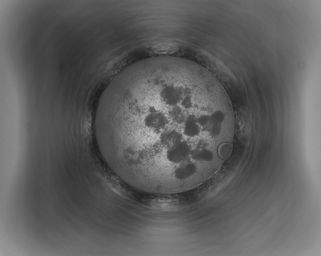 X0000112910745200908311237