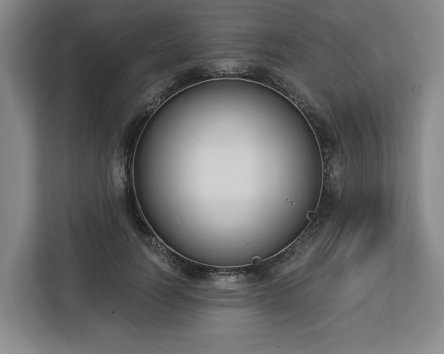 X0000112910746200908311237