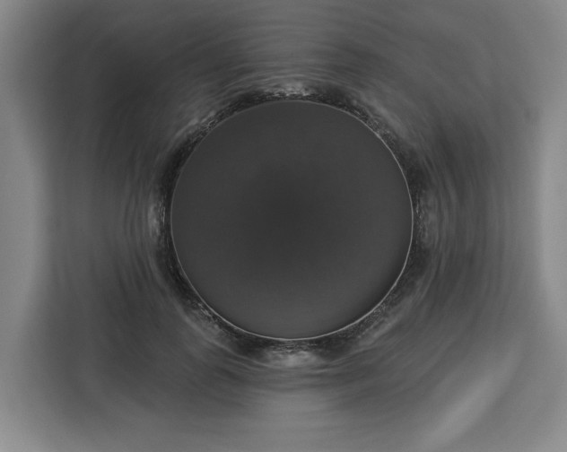 X0000112910747200908311237