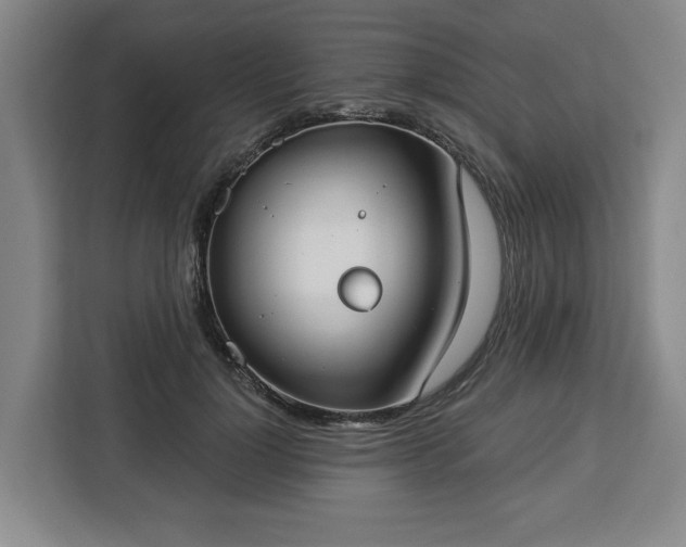 X0000112910748200908311237