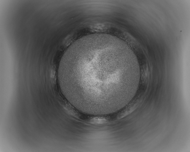 X0000112910749200908311237