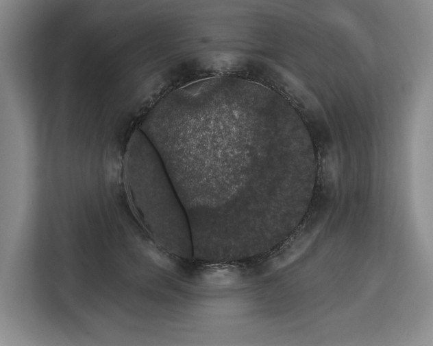 X0000112910750200908311237