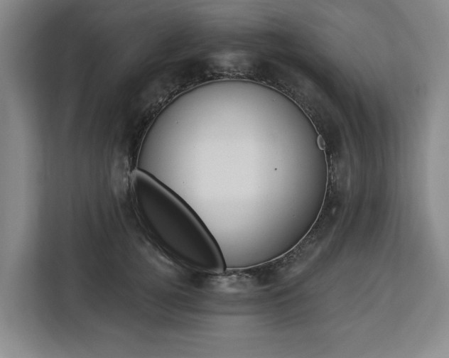 X0000112910752200908311237