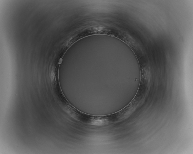 X0000112910754200908311237