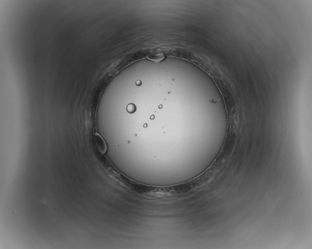 X0000112910756200908311237