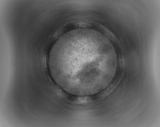 X0000112910757200908311237