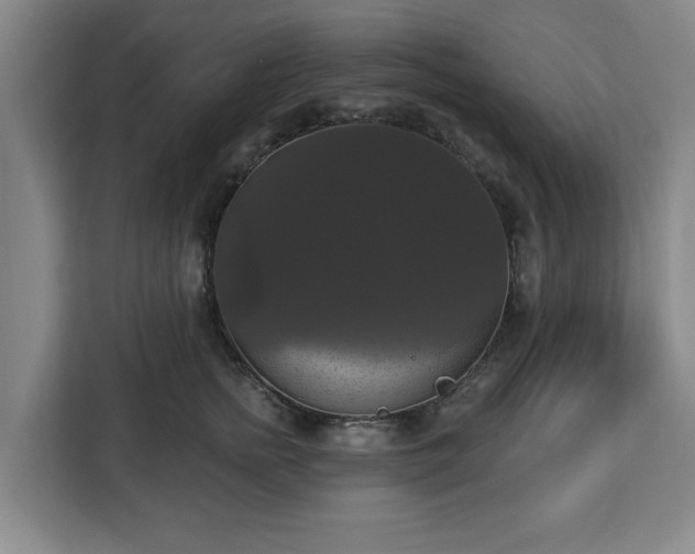 X0000112910758200908311237