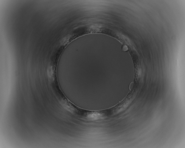 X0000112910759200908311237