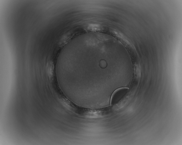 X0000112910760200908311237