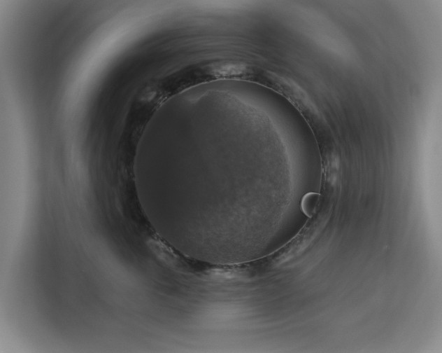 X0000112910763200908311237