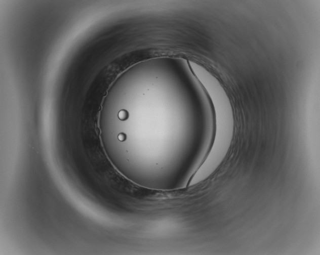 X0000112910764200908311237