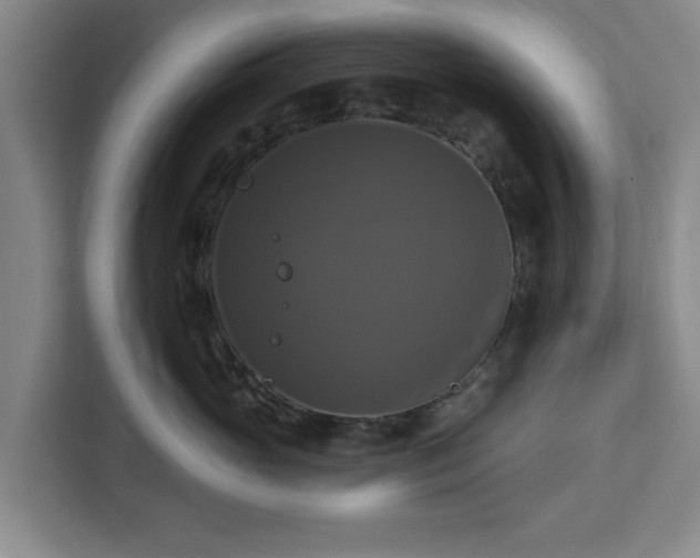 X0000112910765200908311237