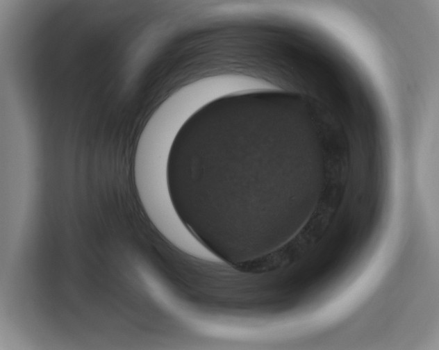 X0000112910766200908311237