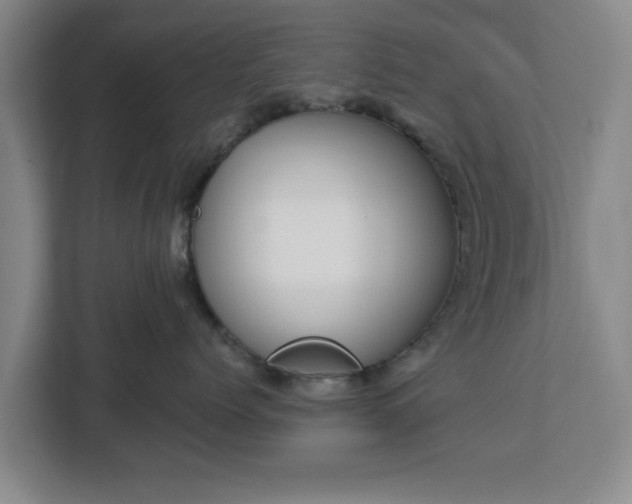 X0000112910768200908311237