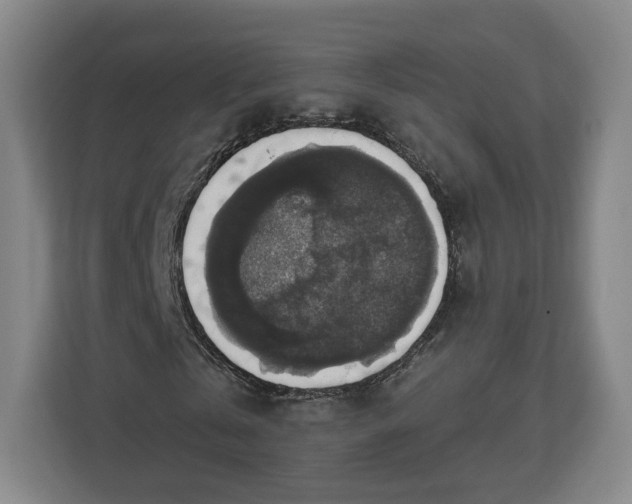 X0000112910769200908311236