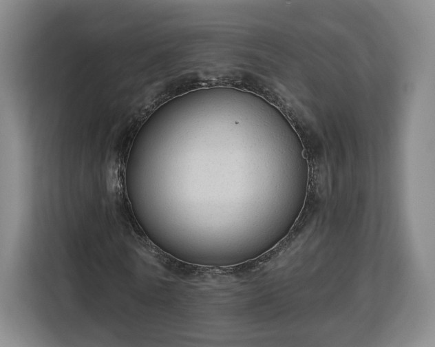 X0000112910770200908311236