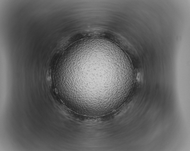 X0000112910771200908311236