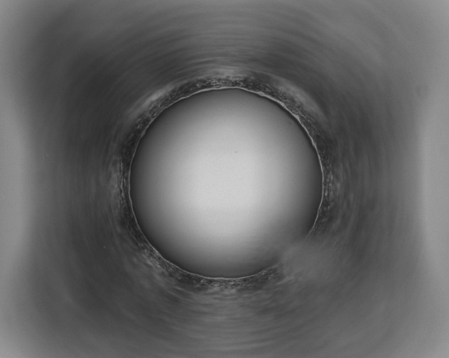 X0000112910773200908311236