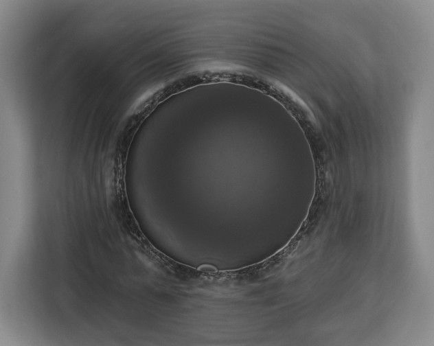 X0000112910775200908311236