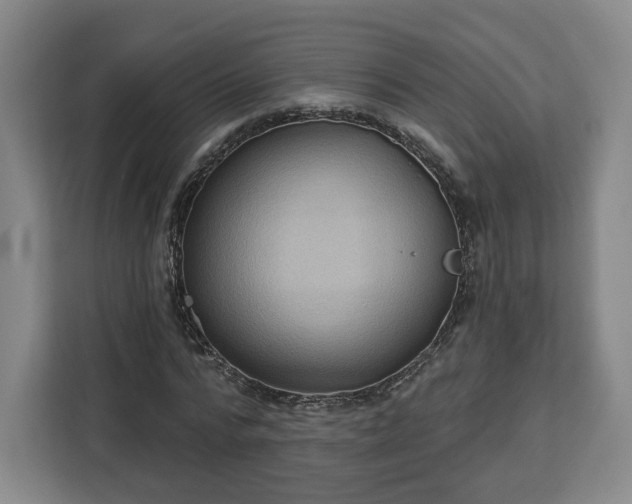 X0000112910776200908311236