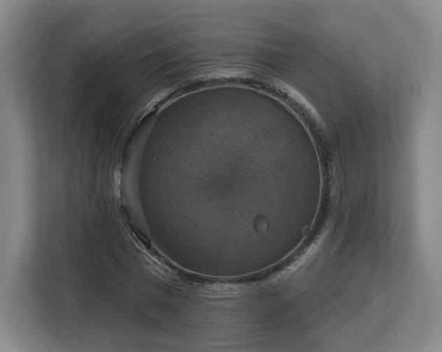 X0000112910777200908311236