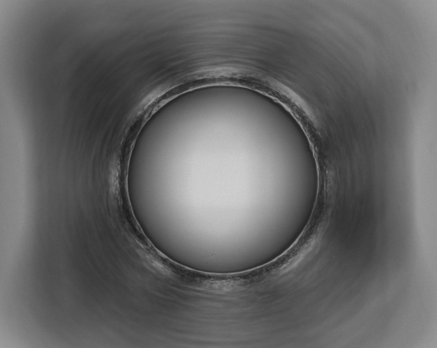 X0000112910778200908311236