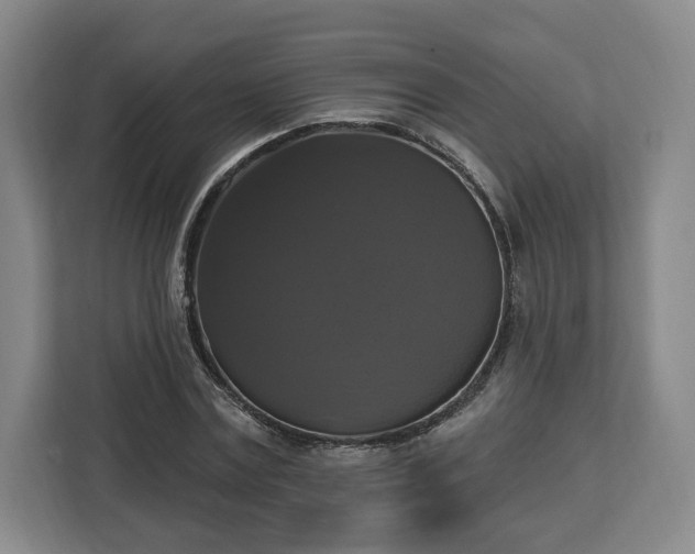 X0000112910779200908311236