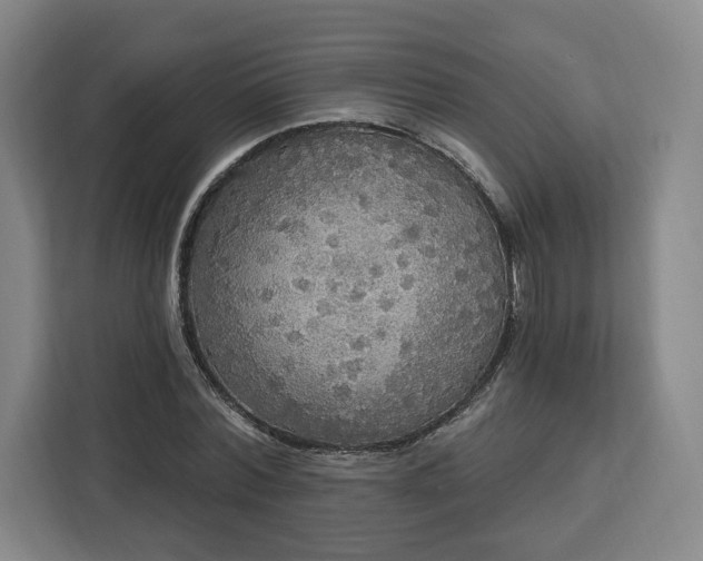 X0000112910780200908311236