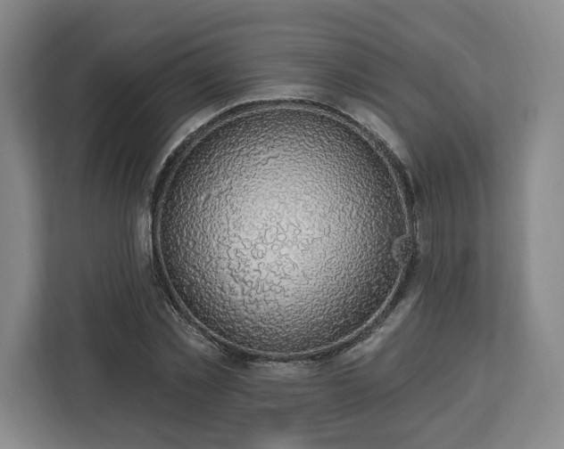 X0000112910781200908311236