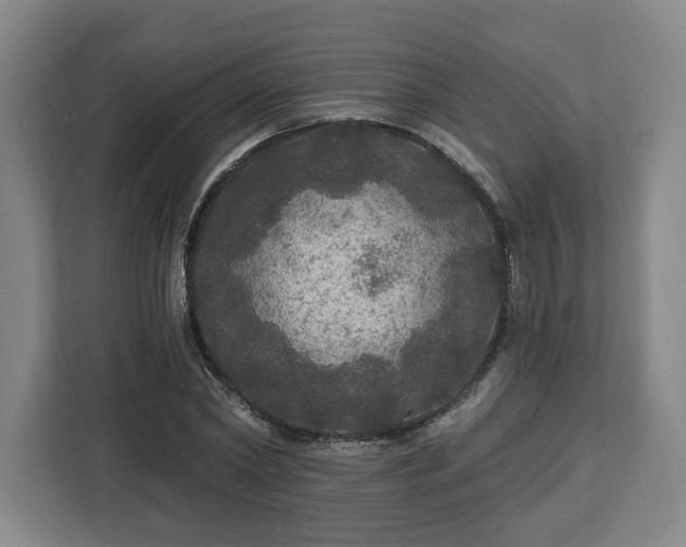 X0000112910782200908311236