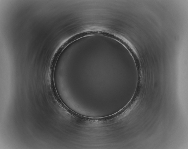 X0000112910783200908311236