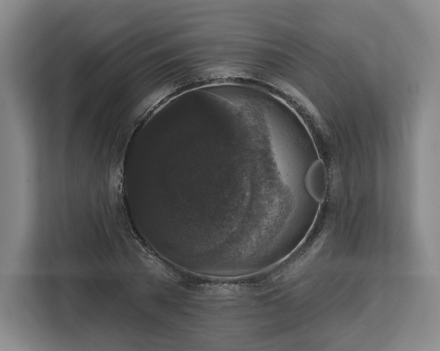 X0000112910785200908311236